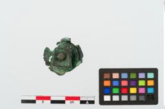 Foto von Bronzehelmnietknauf (NHMW-PRAE-025106)